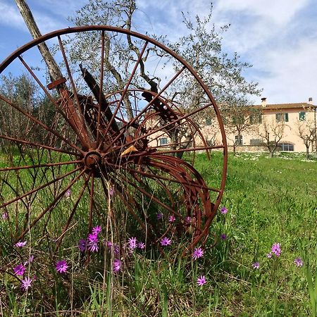 Agriturismo La Torricella Pistoia Bagian luar foto